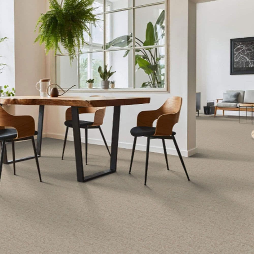 Dixie Home Genuine Carpet in Probable, , large