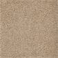 Mohawk Dahlia Harbor Carpet in Belvedere, , large