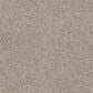Dixie Home Gentle Wind Carpet in Sandpiper, , large