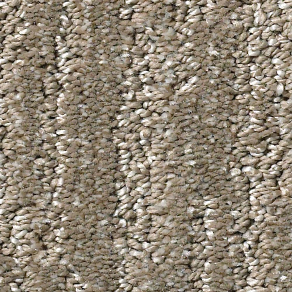Shaw Simply the Best Big Easy Carpet in Papoose, , large