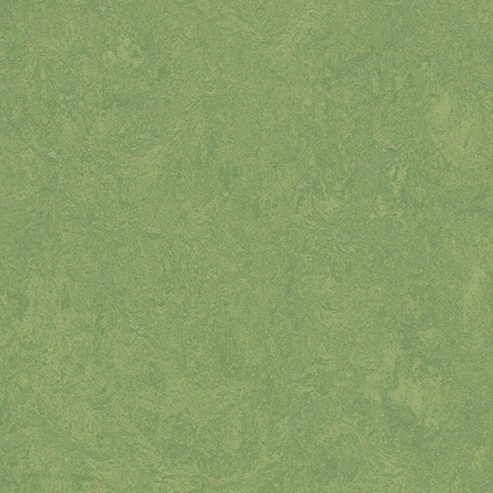Forbo Marmoleum Cinch Loc Seal 12" x 12" Laminate Tile in Leaf, , large
