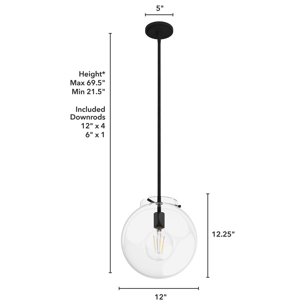 Hunter Sacha 1-Light Pendant in Natural Iron, , large