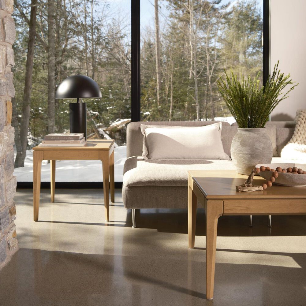 Canadel Accent Essence End Table in Caramel Washed, , large