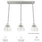 Hunter Cypress Grove 10" 1-Light Pendant in Brushed Nickel, , large
