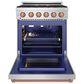 Thor Kitchen Gordon Ramsay 4.6 Cu. Ft. Professional Liquid Propane Range with Rose Gold Handle Kit in Stainless Steel, , large