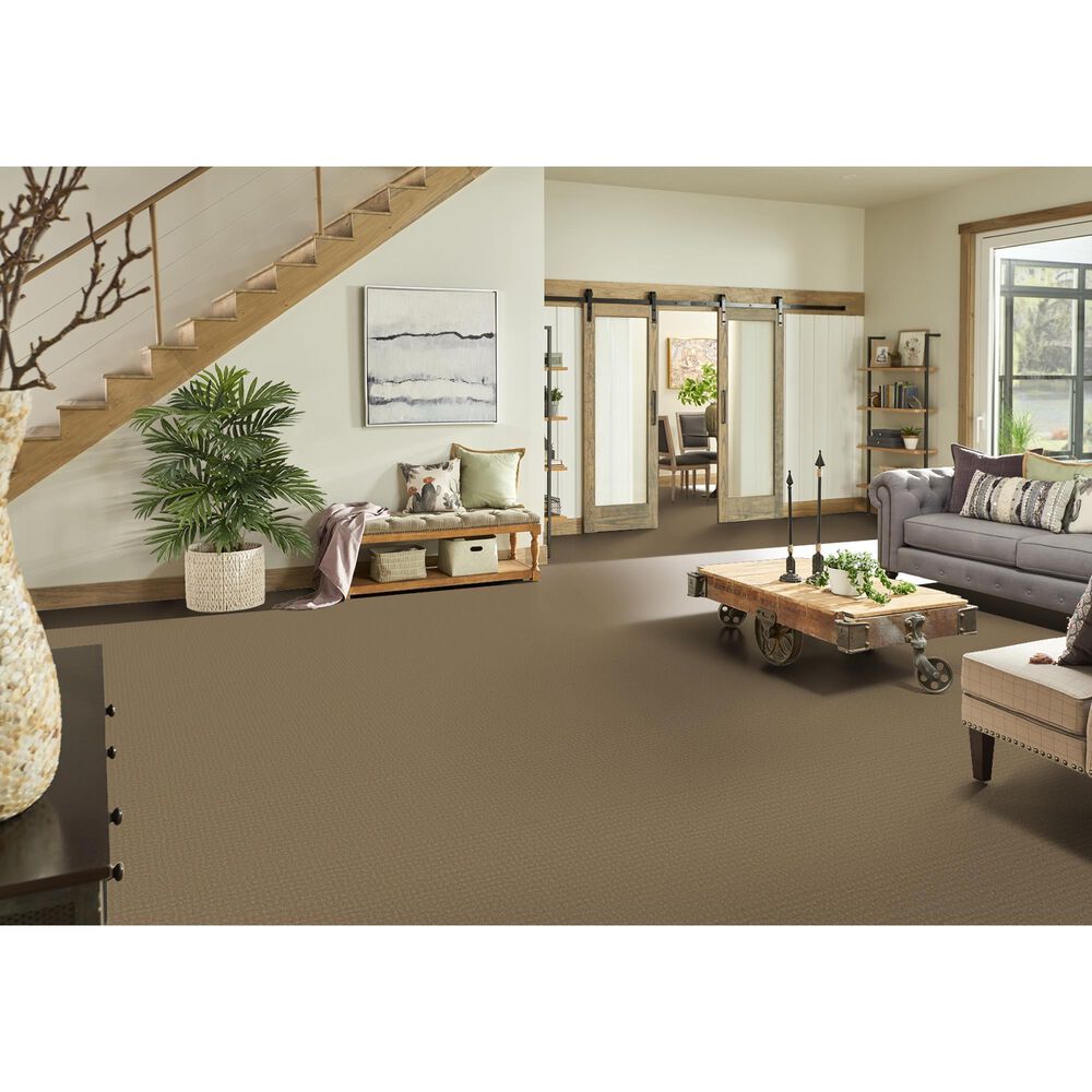 Phenix Mesh Carpet in Knot, , large