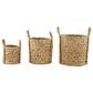 Maple and Jade Dried Coastal Storage Basket in Brown (Set of 3), , large