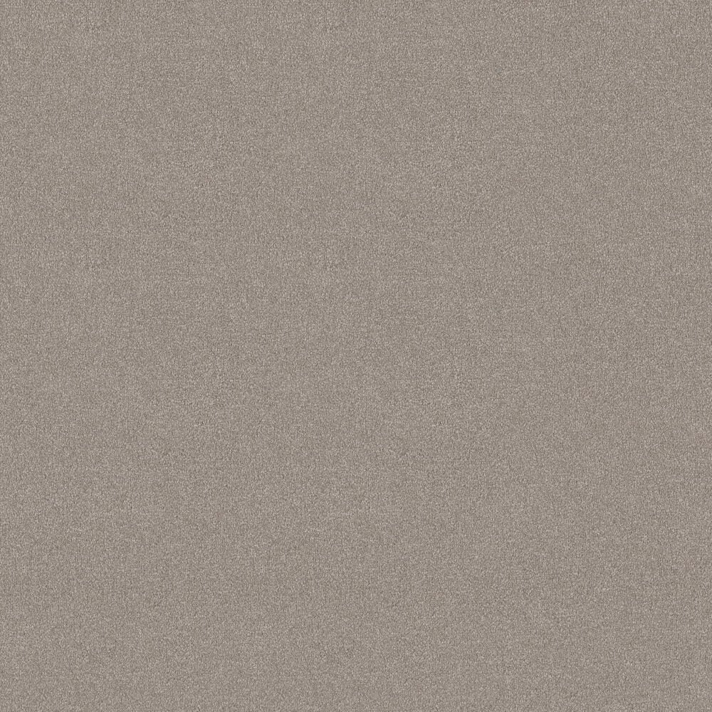 Shaw Luxuriant Carpet in Smoke Signal, , large