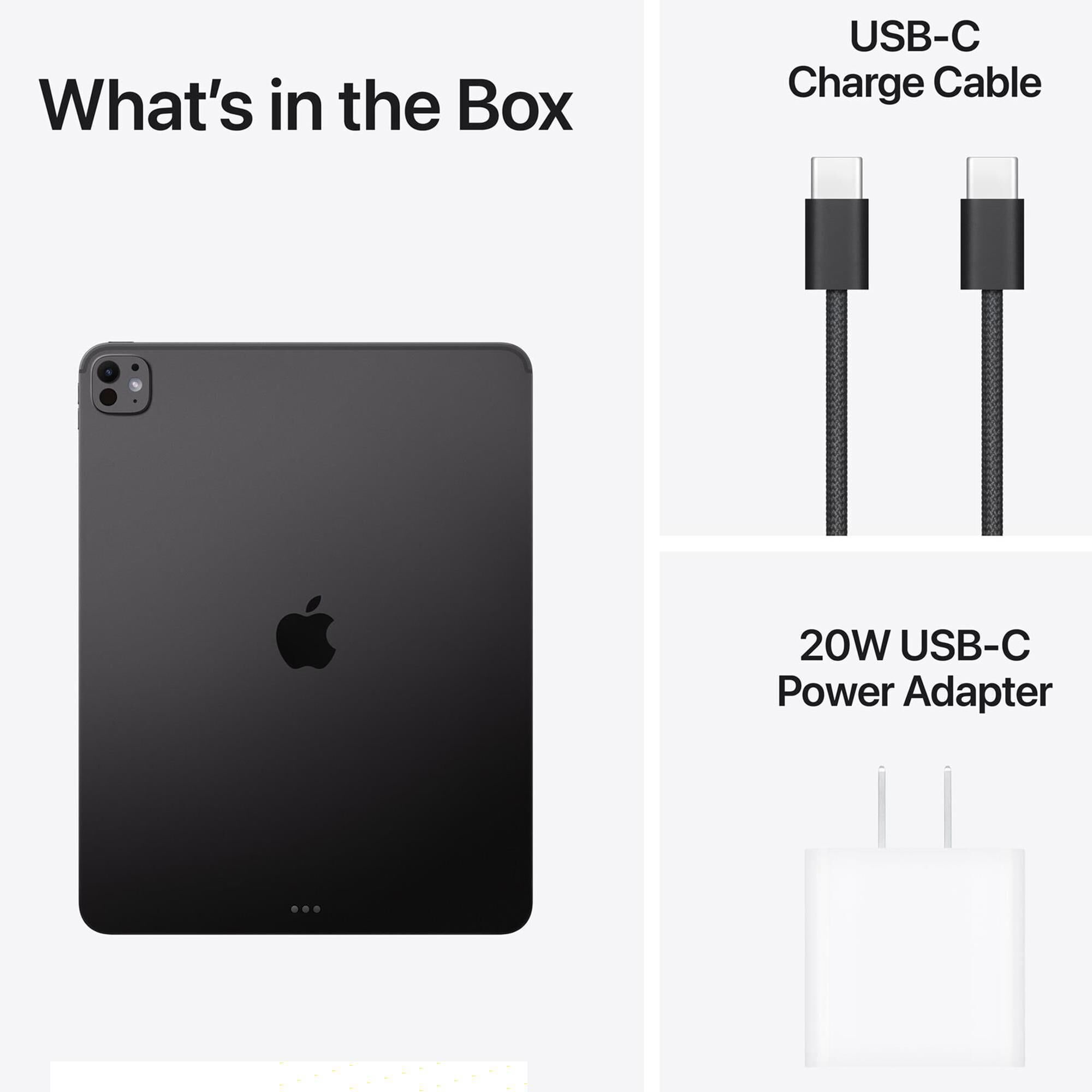 Apple 13