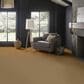 Anderson Tuftex Finery Carpet in Cider, , large