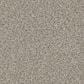 Phenix Catania Carpet in Journey, , large