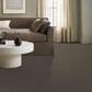 Shaw Tonal Comfort Ii Carpet in Summer House, , large