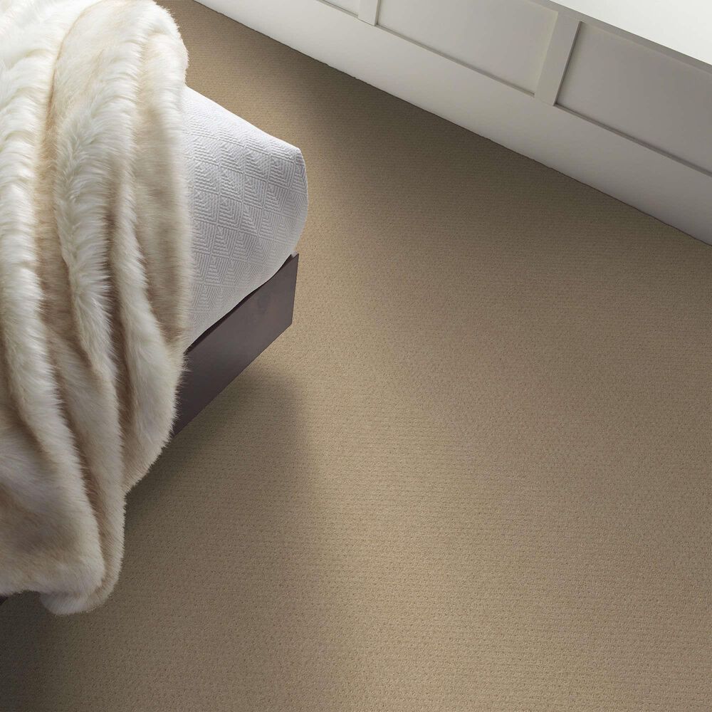Shaw Austin Park Carpet in Boutique, , large