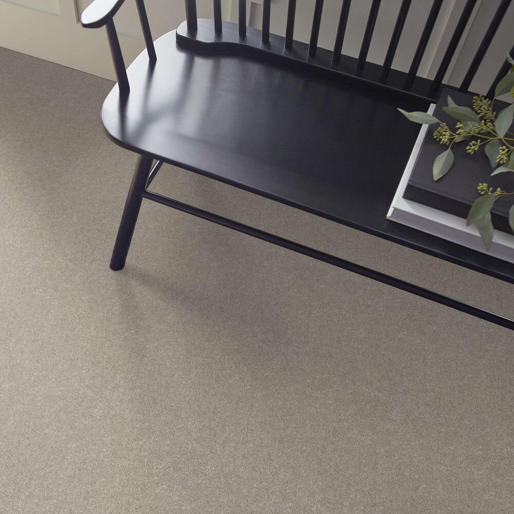 Shaw Your Comfort I Carpet in Back Patio, , large