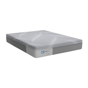 Sealy Medina Firm Queen Mattress, , large