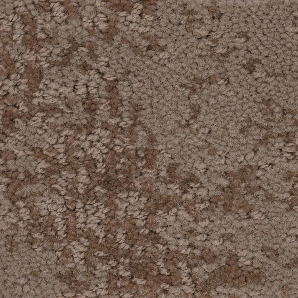 Anderson Tuftex Caress  Artistic Presence Carpet in Raw Wood, , large