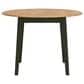 Ashley Gesthaven Dining Table in Natural and Green - Table Only, , large