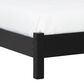 Ashley Danziar Queen Slat Panel Bed in Matte Black, , large