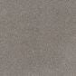 Dream Weaver Beach Club III Carpet in Spanish Moss, , large