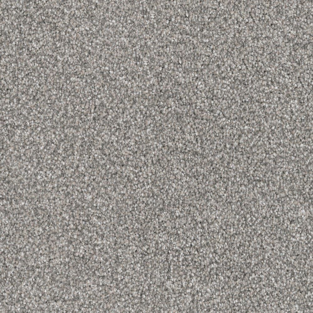 Dixie Home Bella Carpet in Frenchie, , large