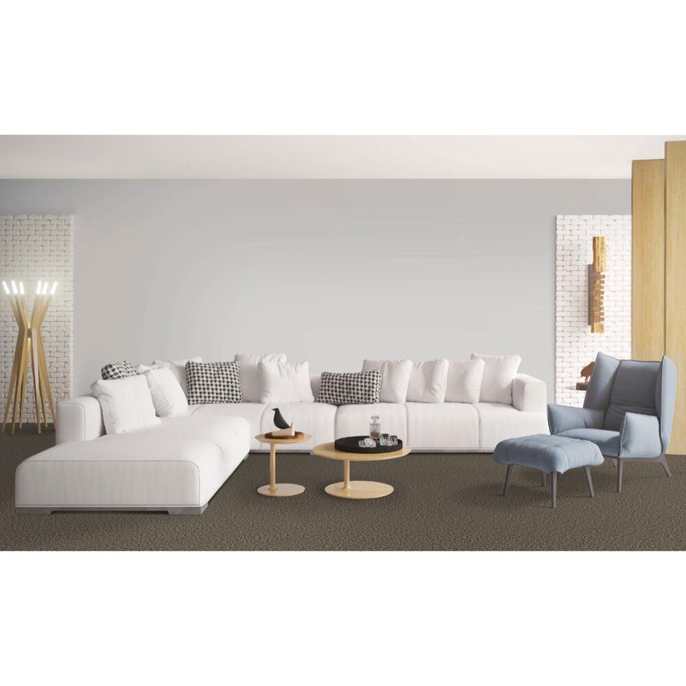 Dixie Home Main Force Carpet in Boulder, , large