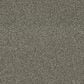 Dixie Home Gentle Wind Carpet in Moss, , large