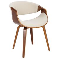 mid century modern dining chairs