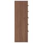 Ashley Broachmyn 5 Drawer Chest in Auburn, , large
