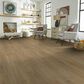 Pergo Freywood Springs Natural Hickory 8" x 54" Laminate, , large