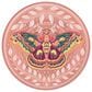 PopSockets PopGrip in Metamorphosis Translucent, , large