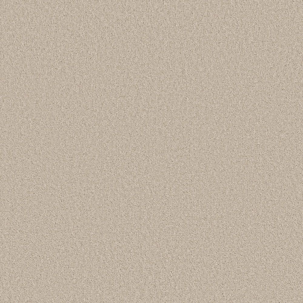 Shaw Las Cruces Carpet in Fresh Perspective, , large