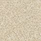 Mohawk Canine Chic Carpet in Frosted Almond, , large