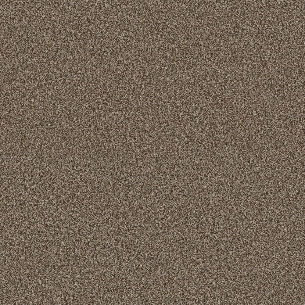 Shaw Bold Move Plus Carpet in Hay Seed, , large