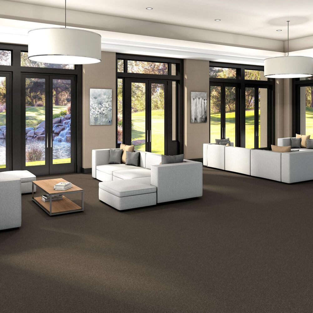 Shaw Yes You Can III Carpet in Mission Ridge, , large