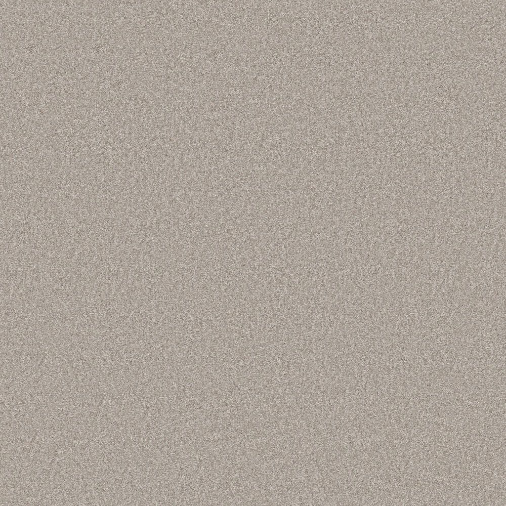 Shaw You Got This II Carpet in Sculpture, , large