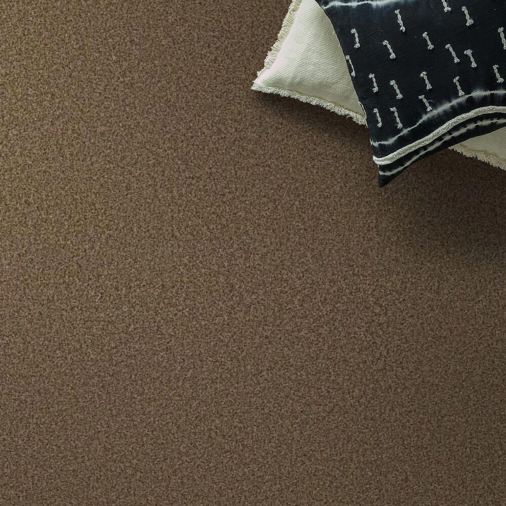 Anderson Tuftex Fabulous Carpet in Nutshell, , large