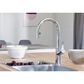 Blanco Urbena 1.5 GPM Pull-Down Kitchen Faucet in Chrome, , large