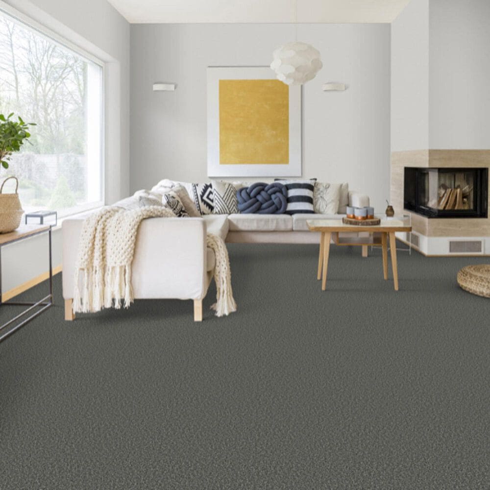 Dixie Home Riverbend Carpet in Onyx, , large