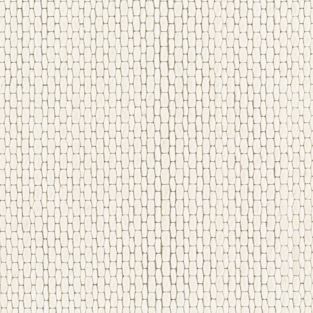 Surya Colarado 2&#39; x 3&#39; Cream, Ivory and Black Area Rug, , large