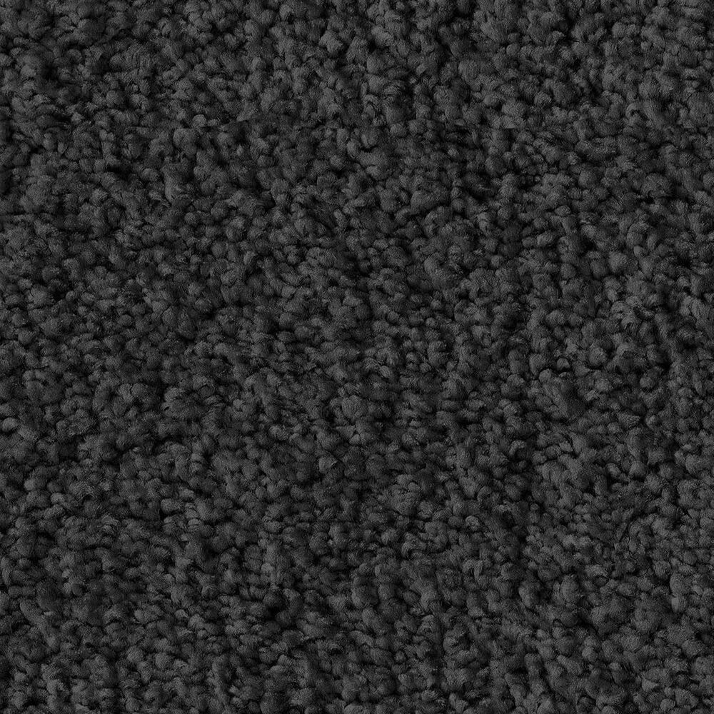 Anderson Tuftex Luxe Feel I Carpet in Blackout, , large