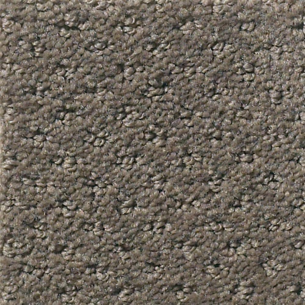 Shaw Infallible Instinct Carpet in Front Gate, , large