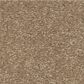 Shaw Easy Spirit III 15" Carpet in Stone House, , large