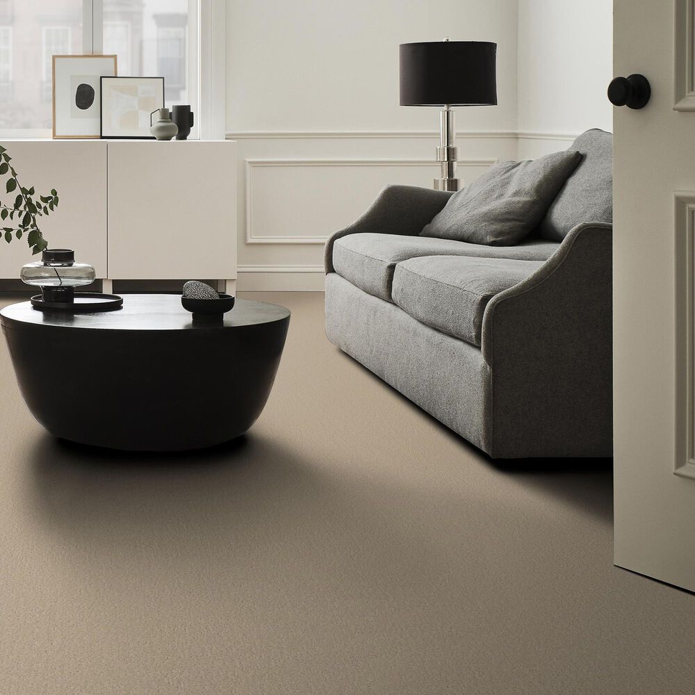 Shaw Canvas Comfort Carpet in Back Patio, , large