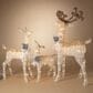 The Gerson Company 3-Piece Electric Lighted Indoor/Outdoor Reindeer Set with 210 Lights in White, , large