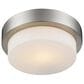 Golden Lighting Multi-Family Flush Mount in Pewter, , large