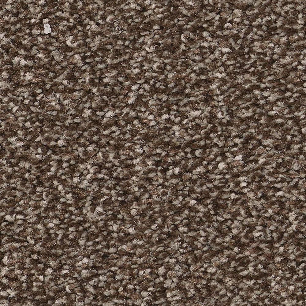 Anderson Tuftex Cypress Falls Carpet in Grizzly, , large