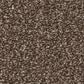 Anderson Tuftex Cypress Falls Carpet in Grizzly, , large