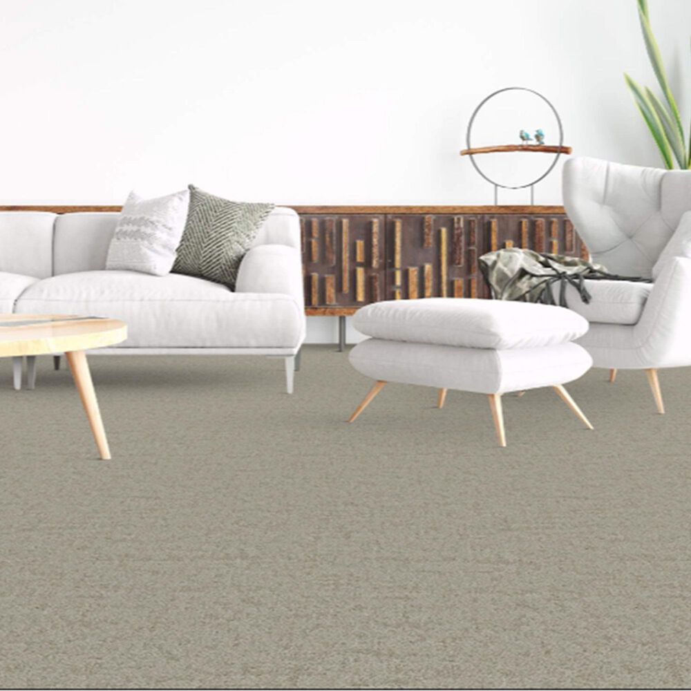 Dixie Home Genuine Carpet in Actual, , large