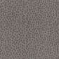 Shaw Lattice Carpet in Sandalwood, , large