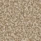 Anderson Tuftex Avalon Bay Carpet in Golden, , large